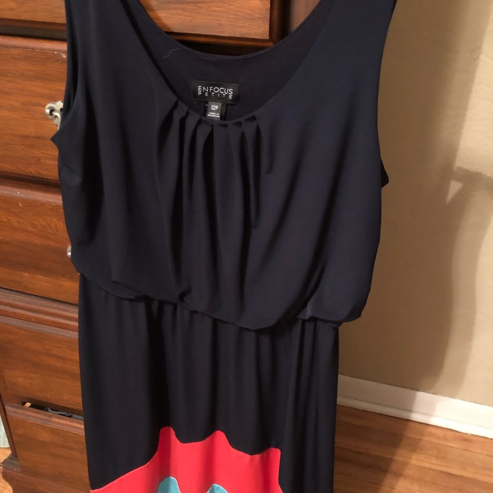 Size 12P dress